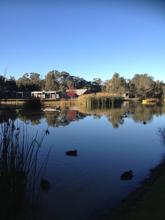Tasman Holiday Parks - Moama On The Murray Exterior foto